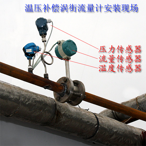 溫壓補償渦街流量計(圖2) 帶溫壓補償渦街安裝示意圖
